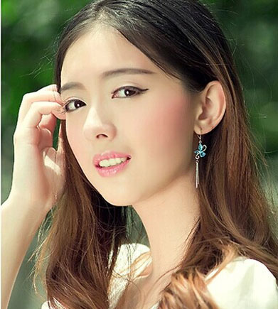 鍍銀耳環(huán)水鉆靚女氣質(zhì)流蘇耳墜女款耳飾防過(guò)敏 耳環(huán)長(zhǎng)款女